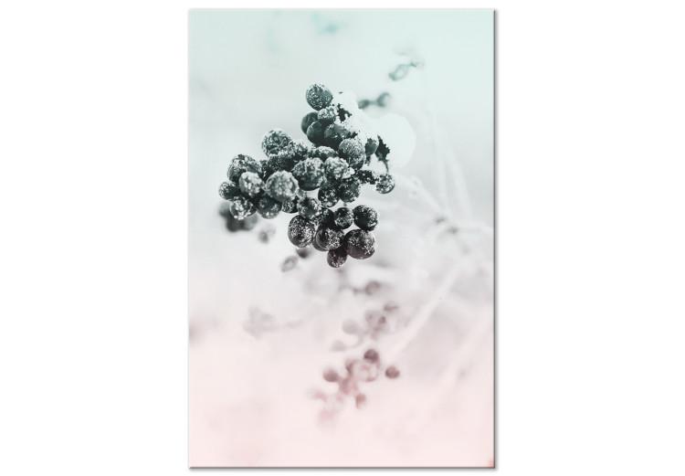 Canvas Winter hackberry - a twig with dark fruits covered with mares
