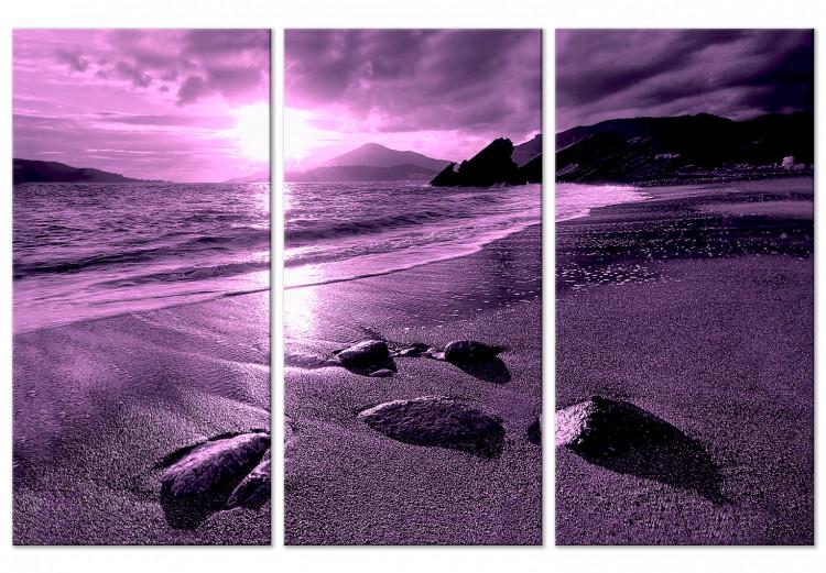 Canvas Purple sunset - triptych with beach, sea and mountains in background