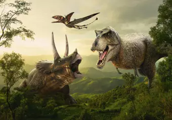 Photo Wallpaper Dinosaur Square Wallpaper Cropper