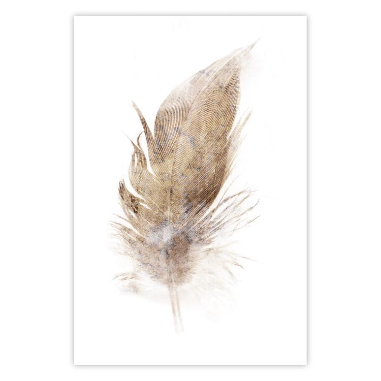 Poster Transience (Beige) - velvety feather in a single color on a white background