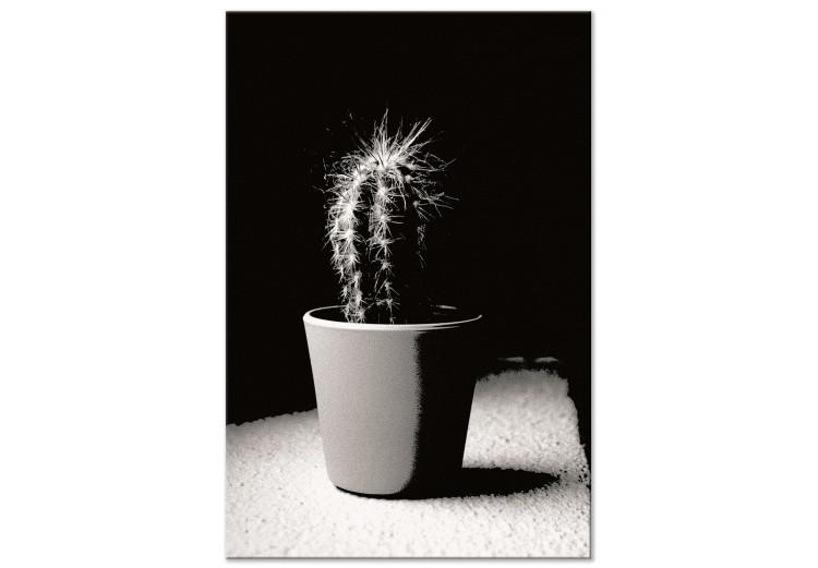 Canvas Cactus in a pot on the table - black and white photograph