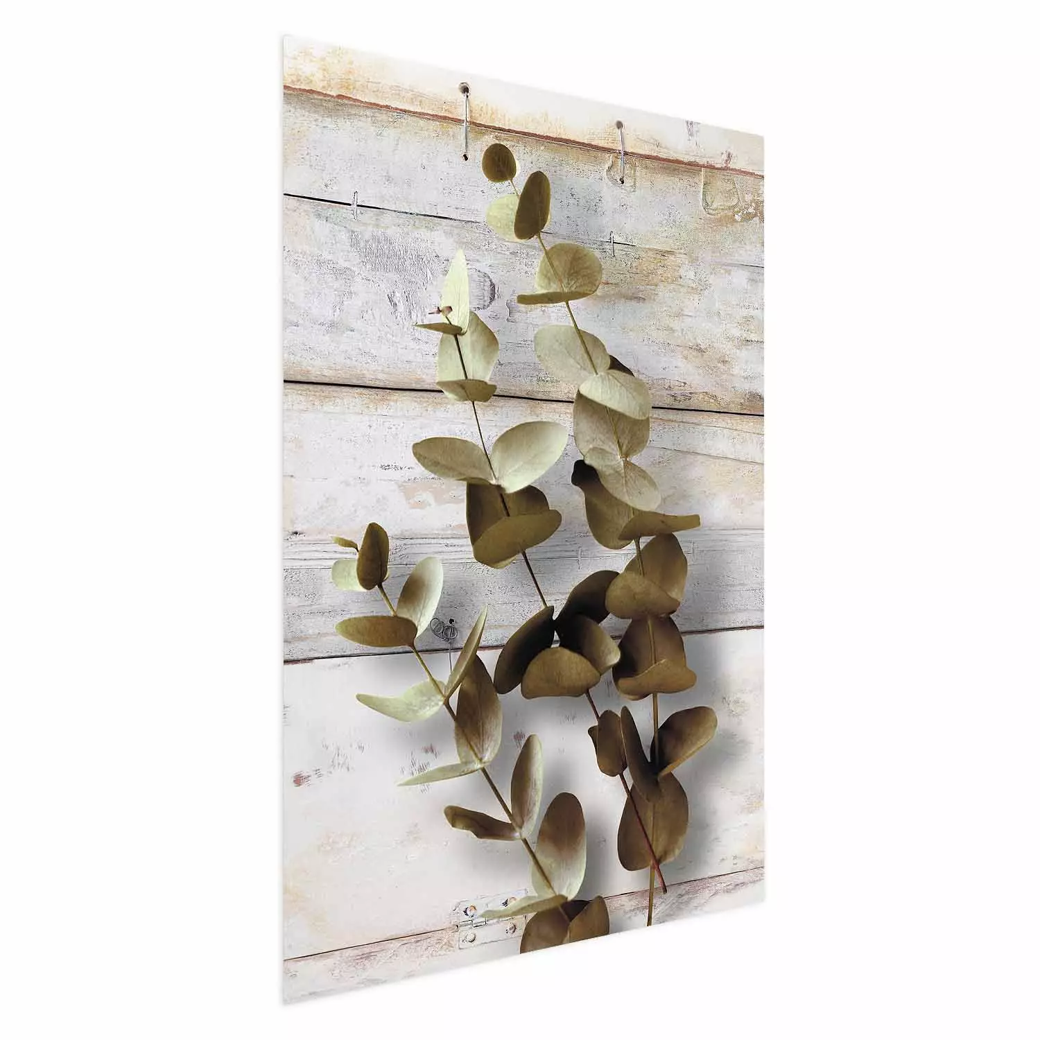 Wall Poster January Dawn - plant with brown leaves on a background of wooden planks