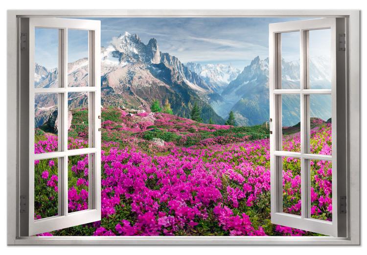 Large canvas print Alpine Rhododendrons [Large Format]
