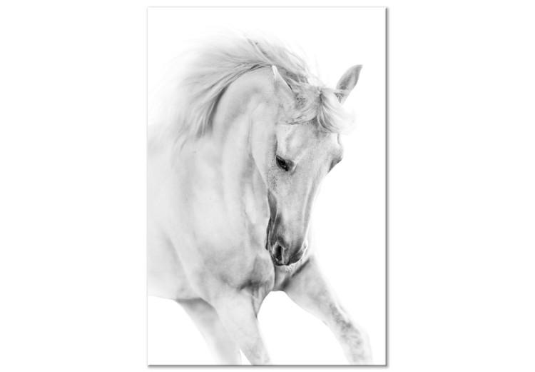 Canvas White Horse (1 Part) Vertical
