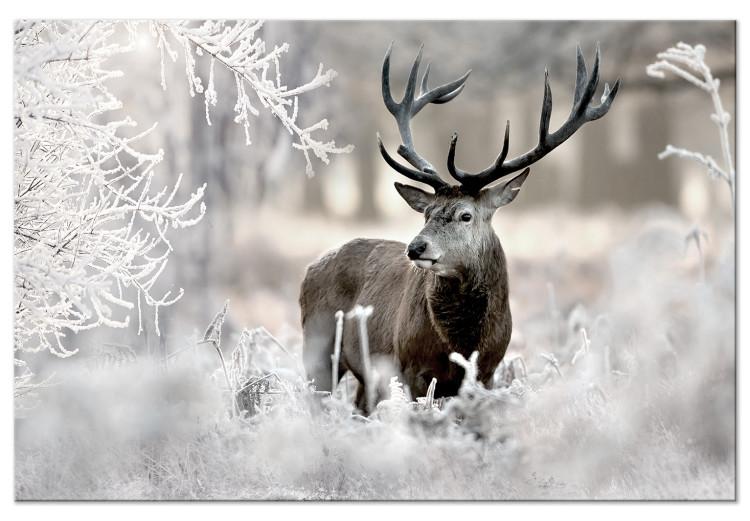 Large canvas print Lonely Deer [Large Format]