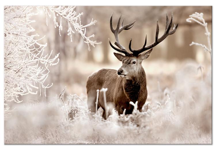 Large canvas print Deer in Sepia [Large Format]
