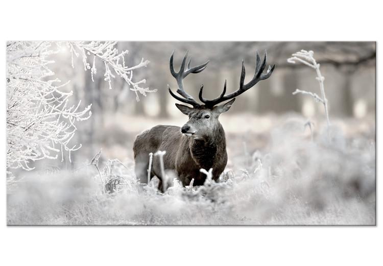 Large canvas print Lonely Deer II [Large Format]