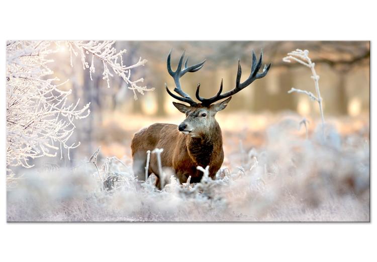 Large canvas print Deer in the Cold II [Large Format]