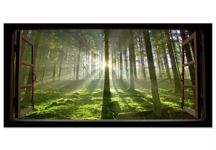 Large canvas print Dawn in the Forest II [Large Format]