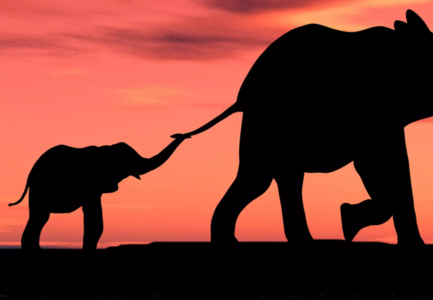 Large canvas print Evening Elephant Walk - window view of a savanna landscape with a family of elephants in red sky hues