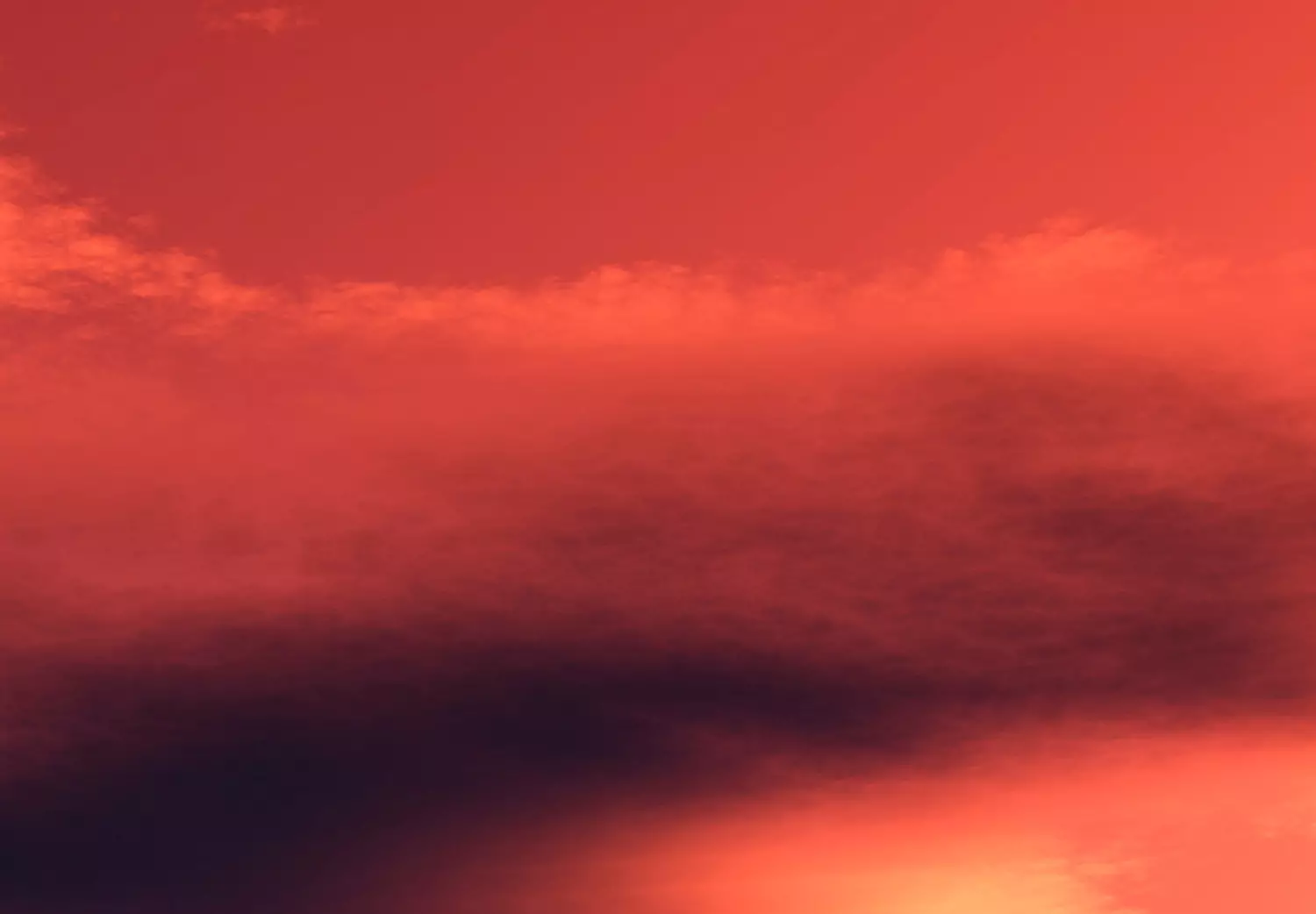Large canvas print Evening Elephant Walk - window view of a savanna landscape with a family of elephants in red sky hues