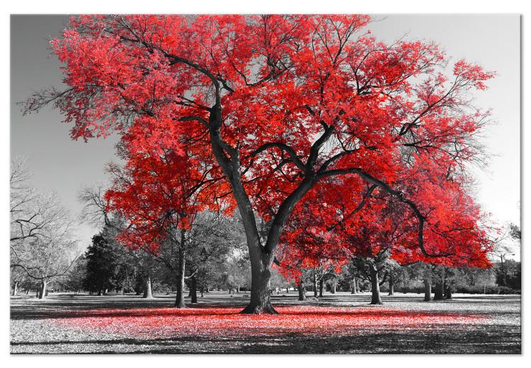 Large canvas print Autumn in the Park (Red) [Large Format]