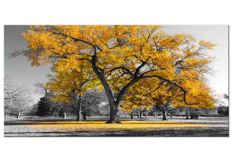 Large canvas print Autumn in the Park (Gold) II [Large Format]