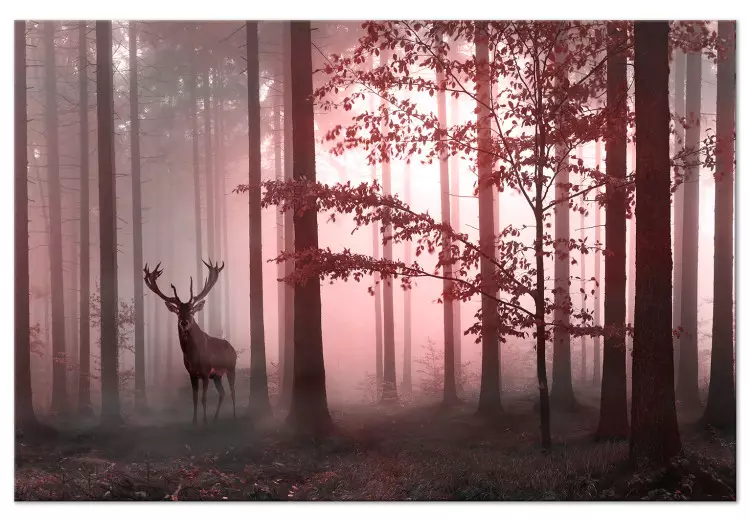 Morning (Pink) [Large Format]