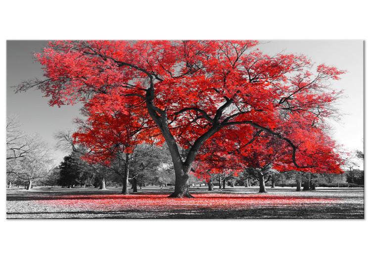 Large canvas print Autumn in the Park (Red) II [Large Format]