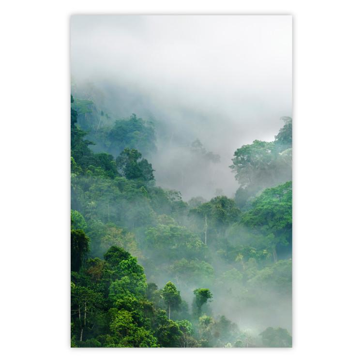 Poster Exotic Adventure - landscape of a forest surrounded by mist on a mountain range