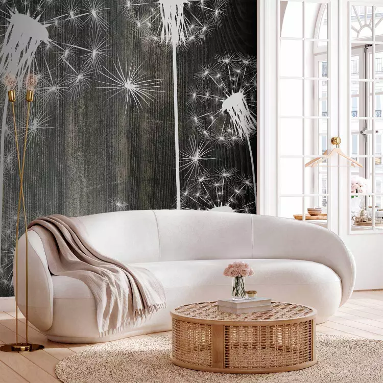 Photo Wallpaper Field of dandelions - a modern, black and white floral  motif - bimago