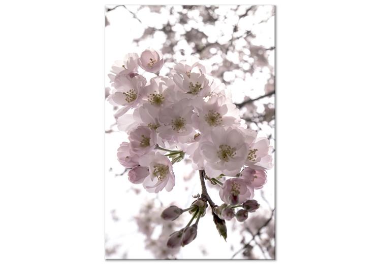 Canvas Cherry Blossoms (1 Part) Vertical