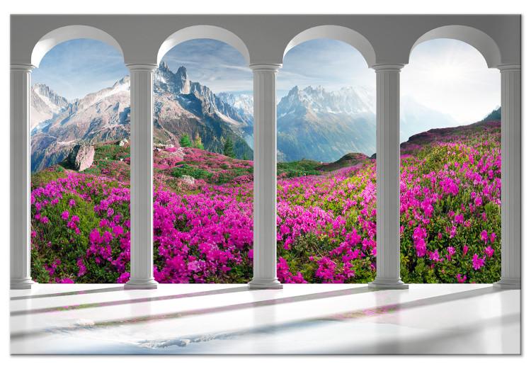 Large canvas print Summer Alps [Large Format]