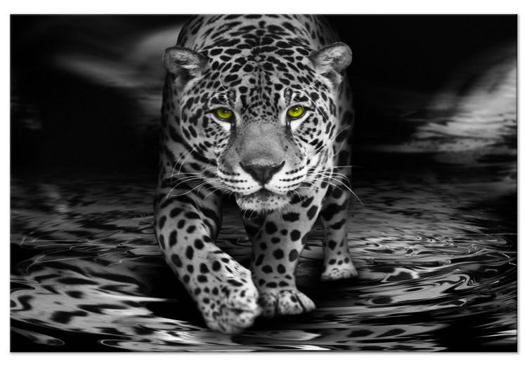 Canvas Green-Eyed Predator (1 Part) Wide Black and White