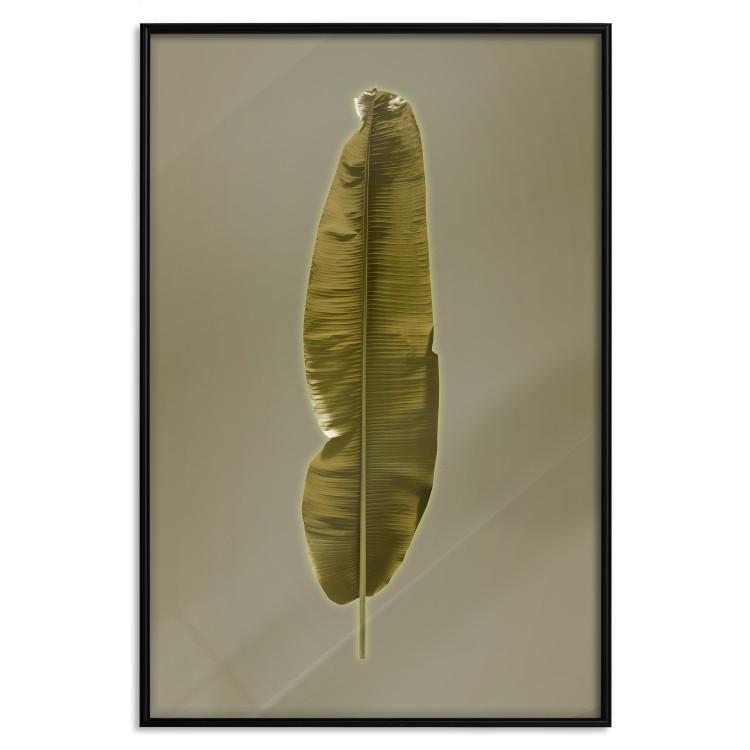 Poster Exotic Leaf - green leaf from a banana tree on a solid background