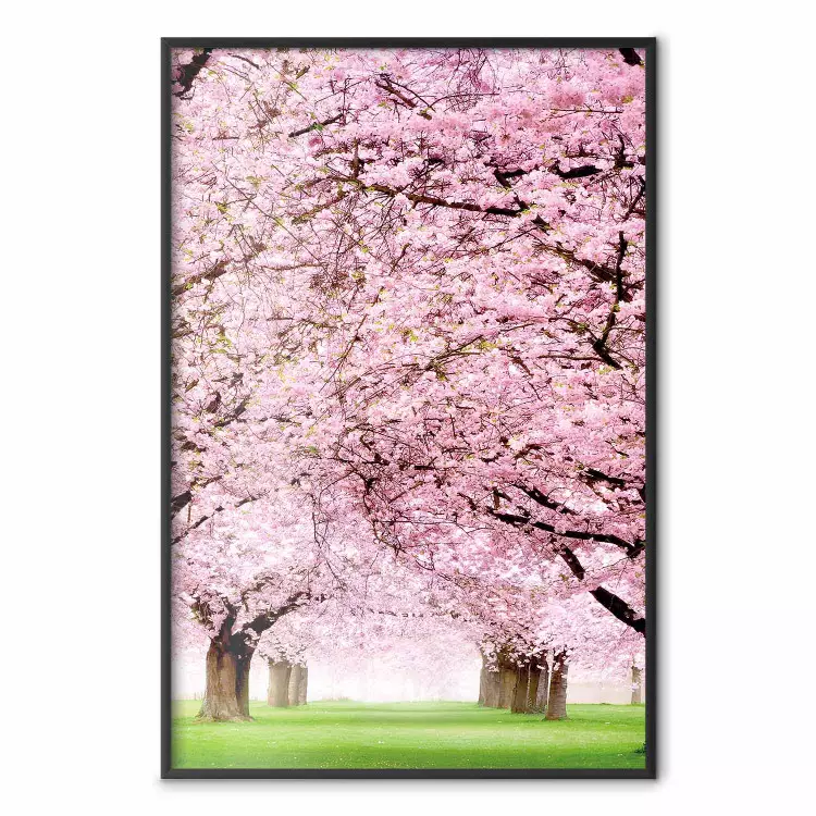 Cherry Orchard - landscape of green grass and trees with pink leaves