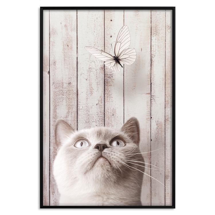 Poster Feline Nature - gray cat and flying butterfly on wooden planks
