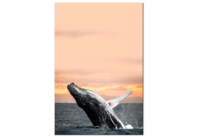Canvas Emerging humpback whale - a whale against the setting sun