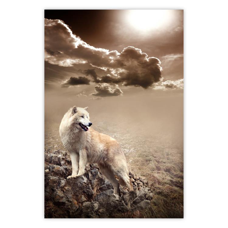 Poster Guardian of Clouds - wild wolf against a sky with clouds in sepia motif