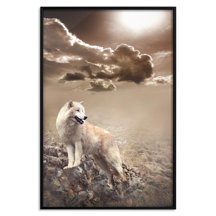 Poster Guardian of Clouds - wild wolf against a sky with clouds in sepia motif
