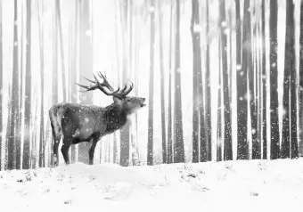 Photo Wallpaper Deer in the Snow (Black and White) Wallpaper Cropper