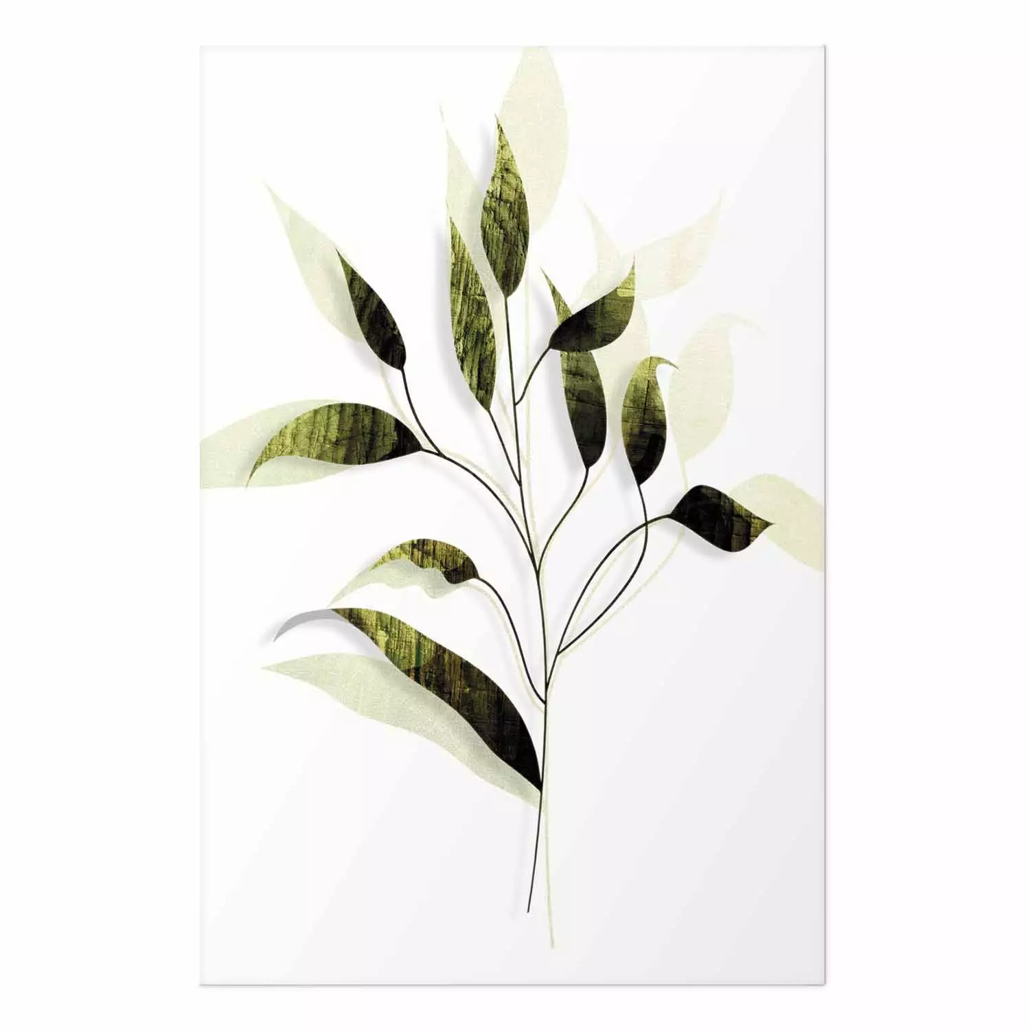 Poster Olive Branch - plant with green leaves on a light white background