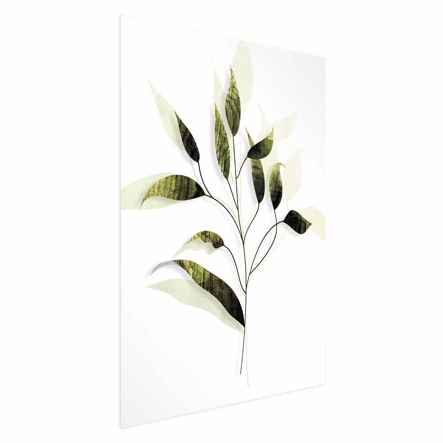 Poster Olive Branch - plant with green leaves on a light white background