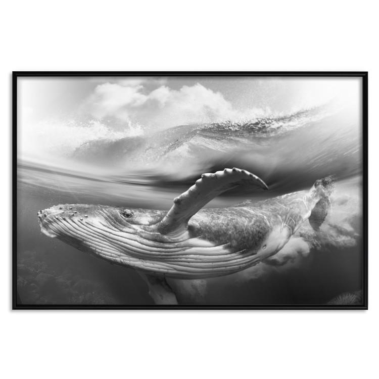 Poster Black and White Whale - maritime landscape with a whale against waves