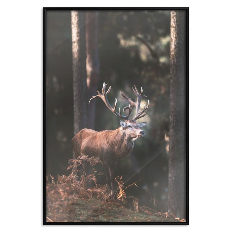 Poster Forest Nobleman - landscape of a forest scene with a deer against trees