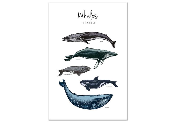Canvas Whales (1 Part) Vertical