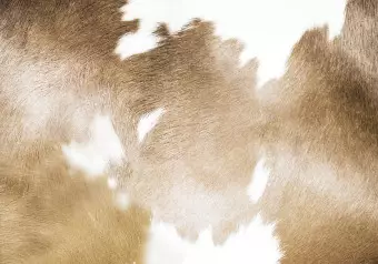 Photo Wallpaper Cow patches - light background with animal fur texture in beige patches Wallpaper Cropper