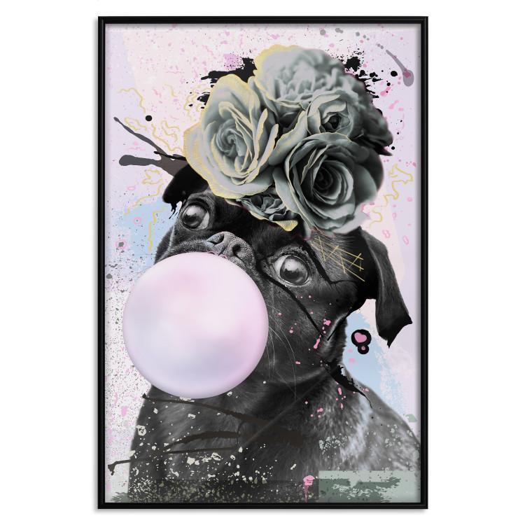 Poster Pug With Bubble Gum [Poster]