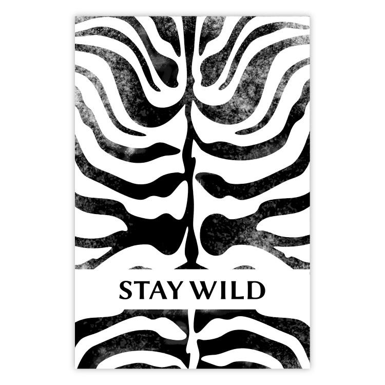 Poster Stay Wild - English inscriptions on a black-and-white zebra background