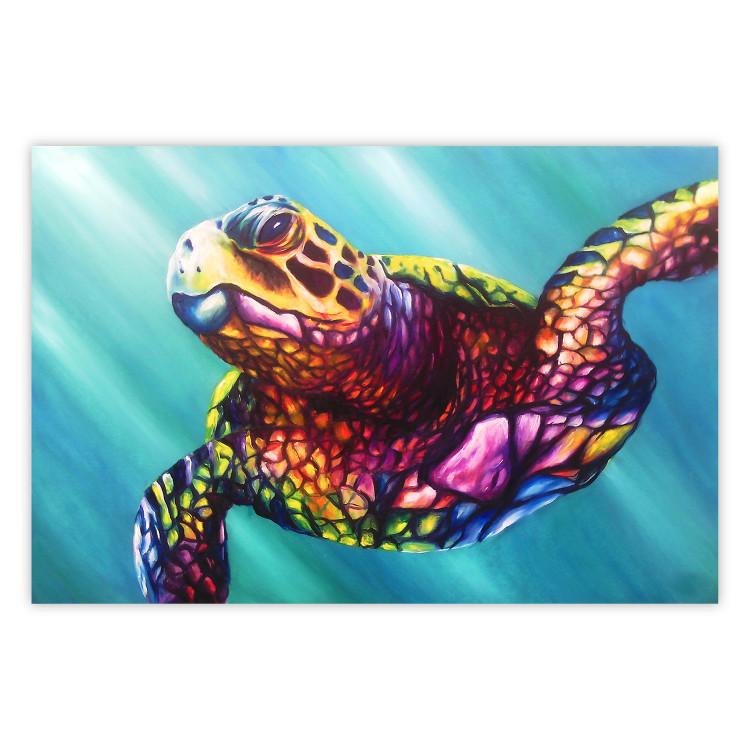 Poster Colorful Turtle - abstract multicolored animal on a blue background