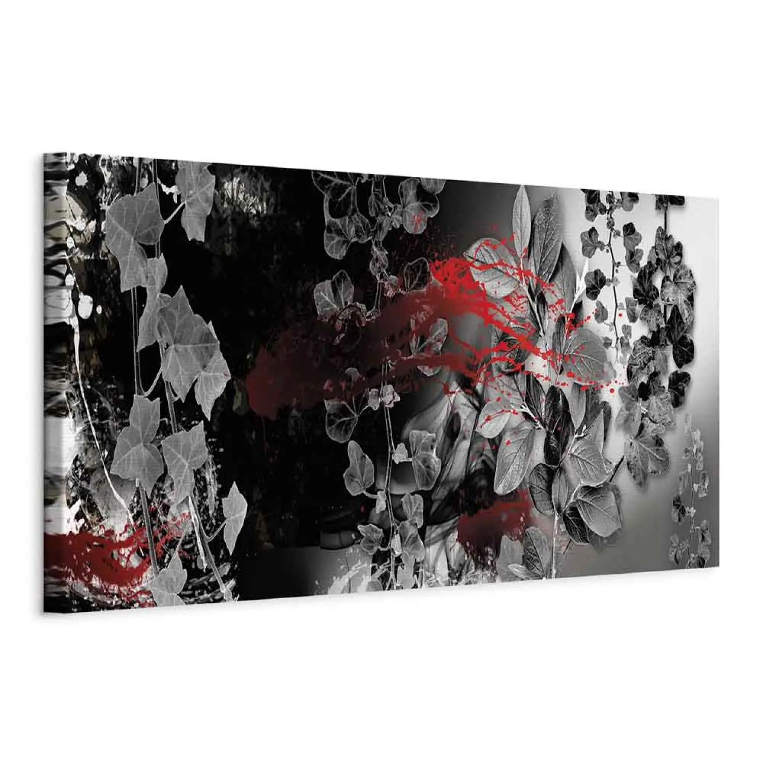 black and white photo with red accent