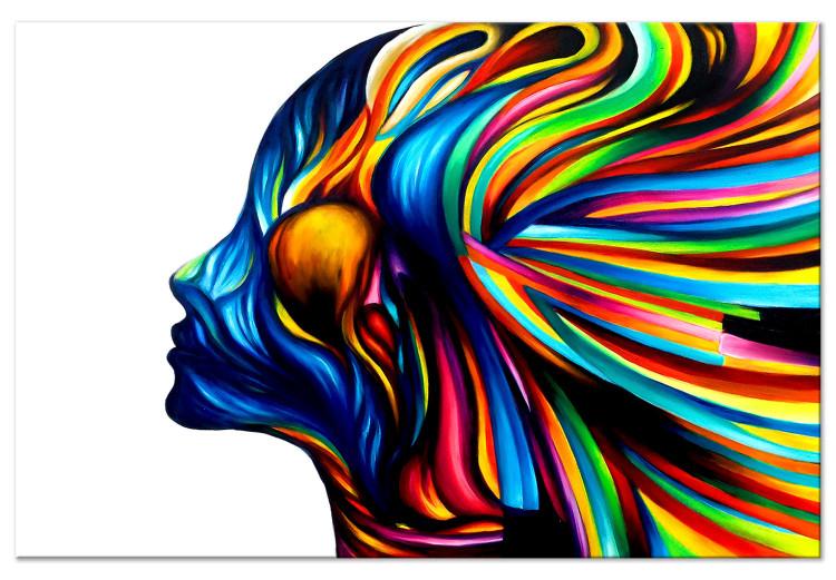 Canvas Rainbow Hair (1-part) wide - abstraction with a silhouette of a woman
