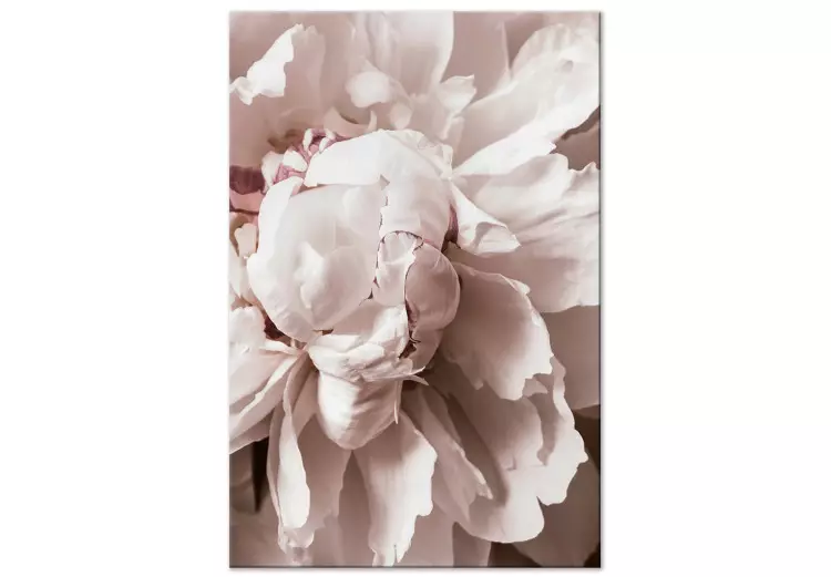 Canvas Rhythmic Delicacy (1-part) vertical - pink peony flowers