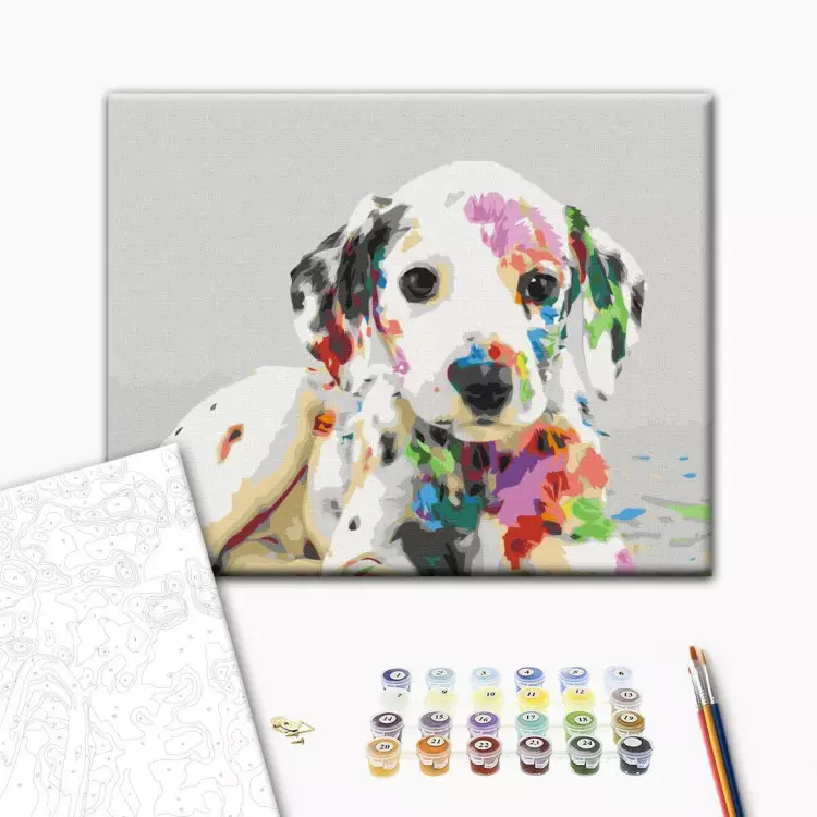 paint-by-numbers-for-adults-colourful-puppy-bimago