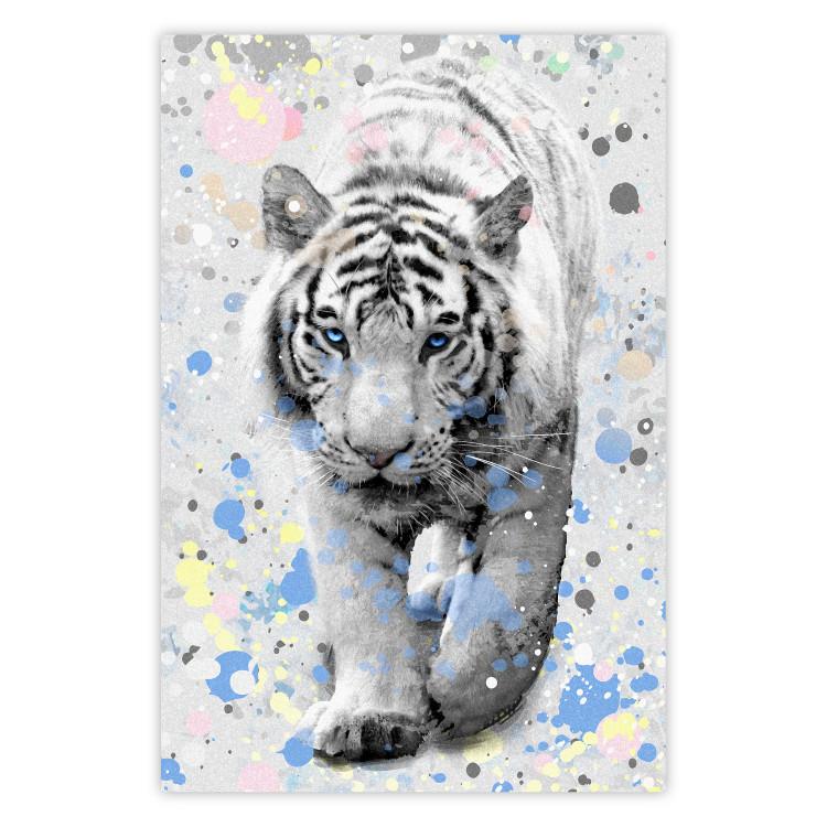Poster White Tiger - tropical animal on background of colorful watercolor dots