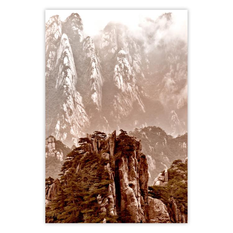 Poster Monolith - mountain landscape with small plant details in sepia tone