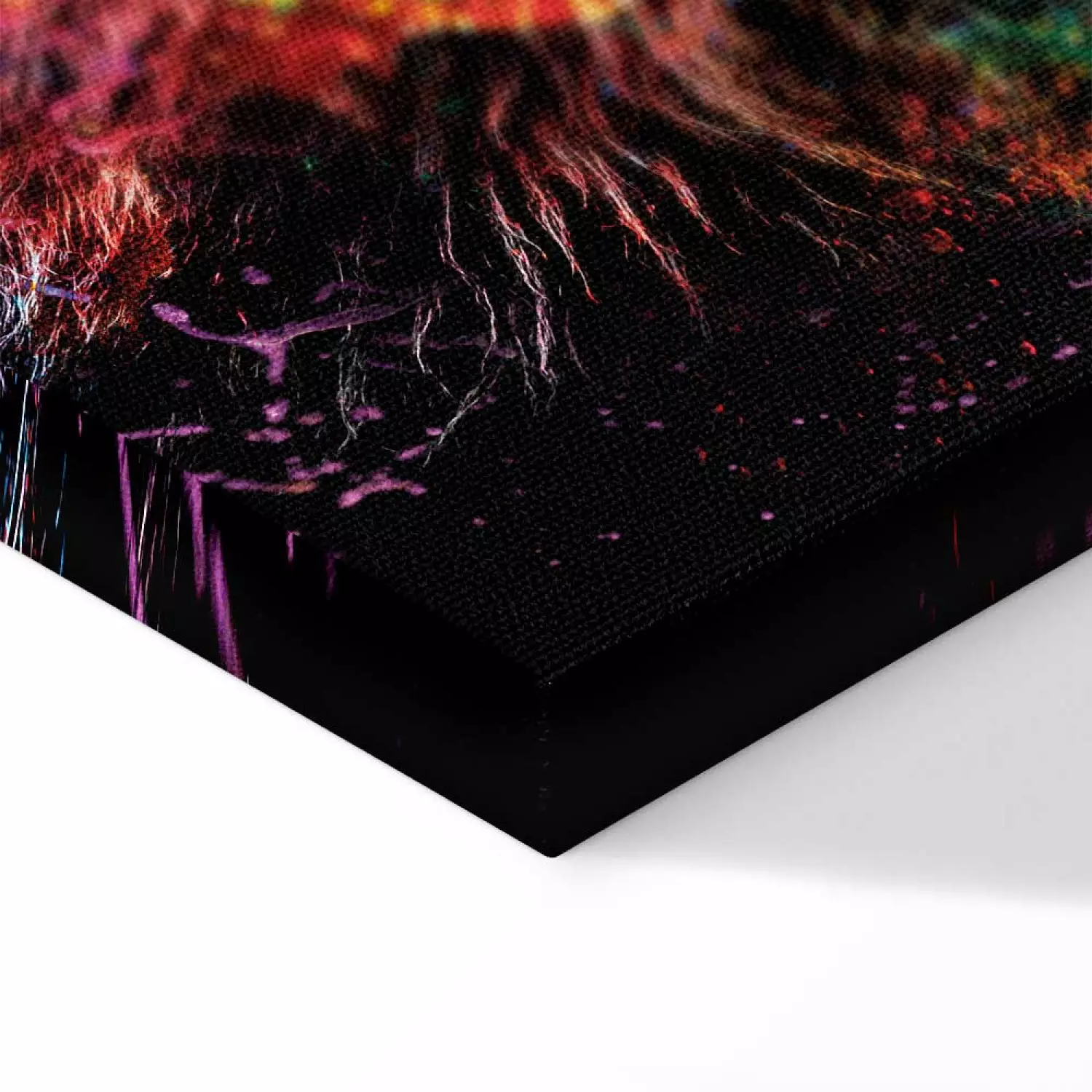 Canvas Print Crazy Lion Wide