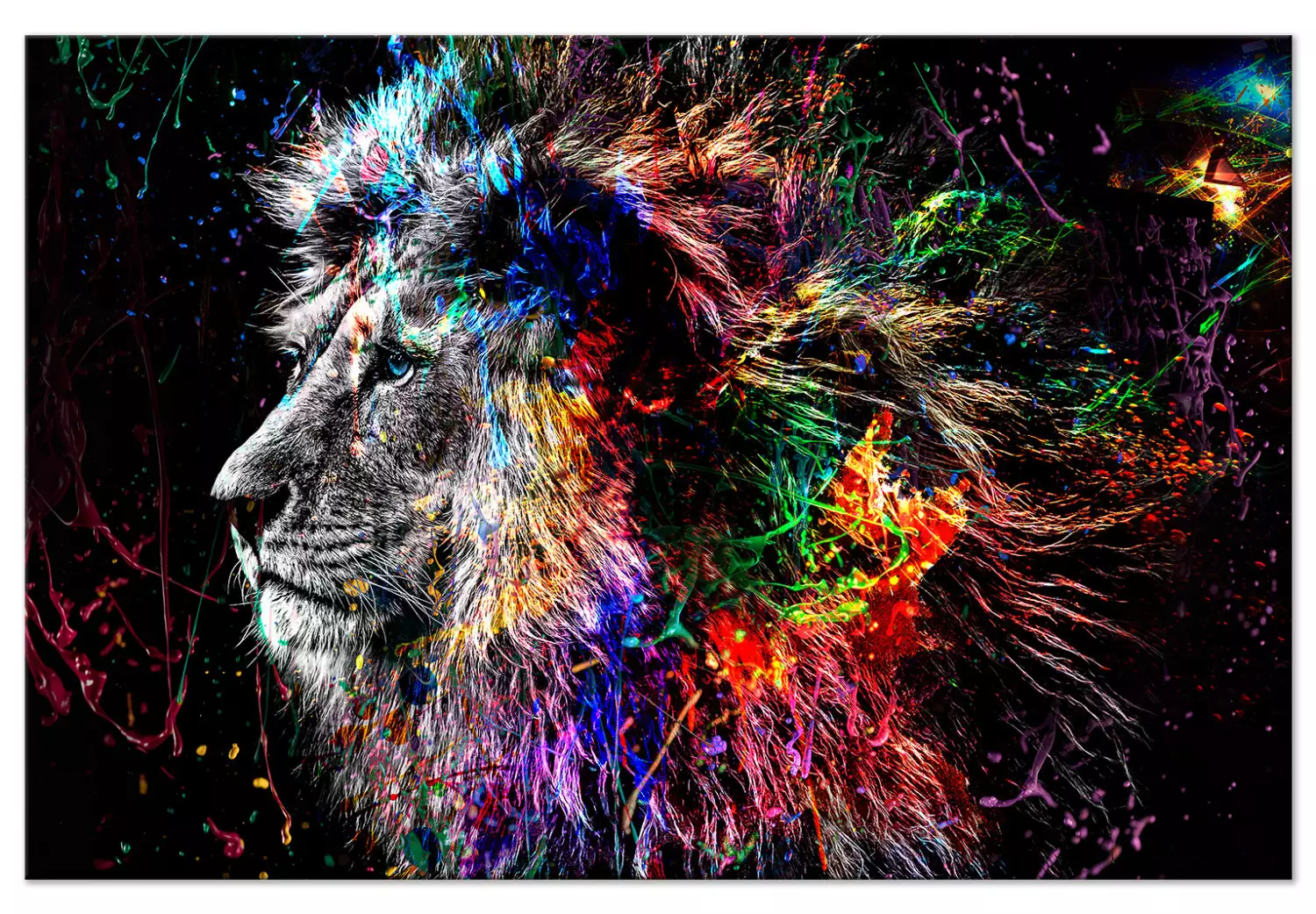 Large canvas print Crazy Lion - Animal Silhouette with Colorful Paint Splashes on a Black Background