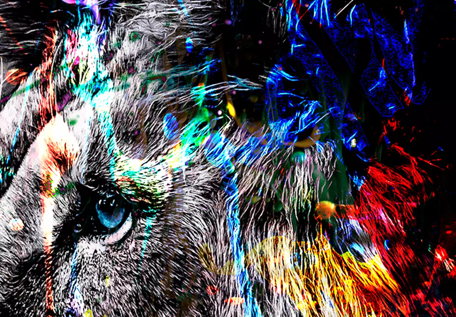 Large canvas print Crazy Lion - Animal Silhouette with Colorful Paint Splashes on a Black Background