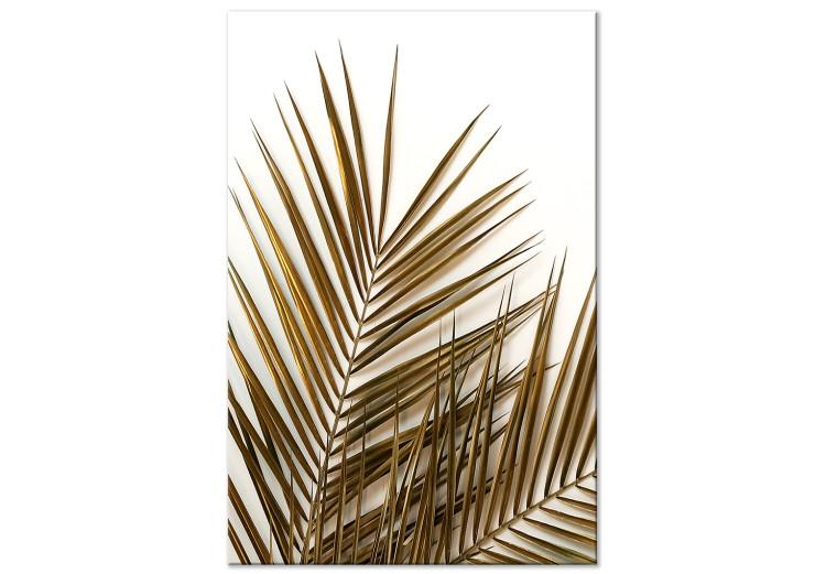 Canvas Dry palm leaves - photograph with plant motif on a white background
